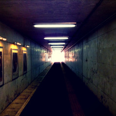 Escaping the Predators