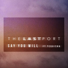 SAY YOU WILL - FT. TEQUISHA