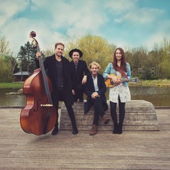 The Daddy-O's - Shape Of You