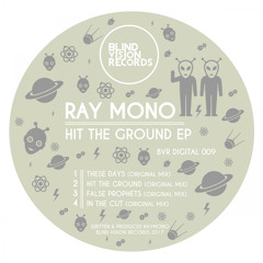 Ray Mono - In the Cut (Original Mix)