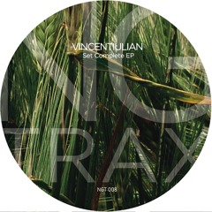 B2 - Vincentiulian - Set Complet- Nima Gorji Rmx
