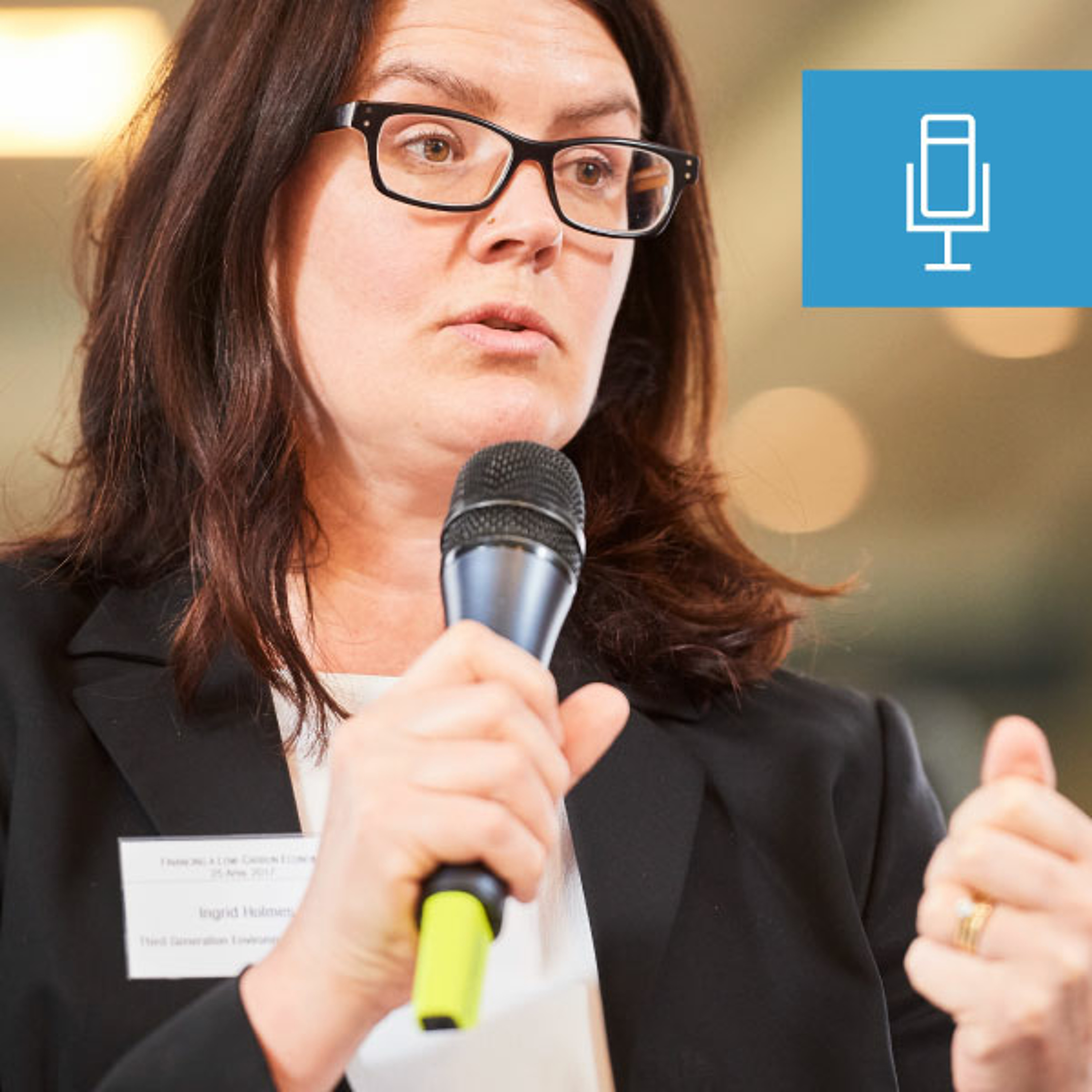 Low carbon infrastructure beyond banks' balance sheets - Ingrid Holmes