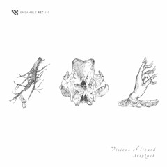 Premiere: Visions of Lizard - The Serpent (Tomas Urquieta Remix) [Ensamble]