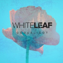 Coquelicot (as supported by BBC R1 & Kölsch) (preview)