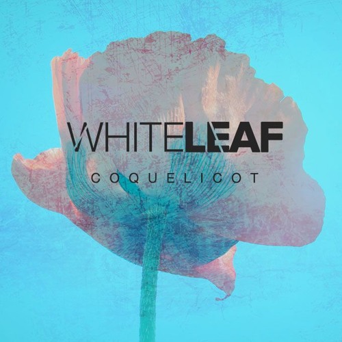 Coquelicot (as supported by BBC R1 & Kölsch) (preview)