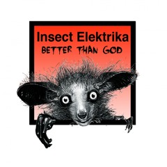 CFR071 : Insect Elektrika - Better Than God (Original Mix)