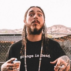 Congratulations Switch Up- Post Malone vs. Tiesto