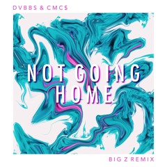 DVBBS & CMC$ - Not Going Home (Big Z Remix)