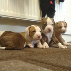 Dj Veteran 14th heaven