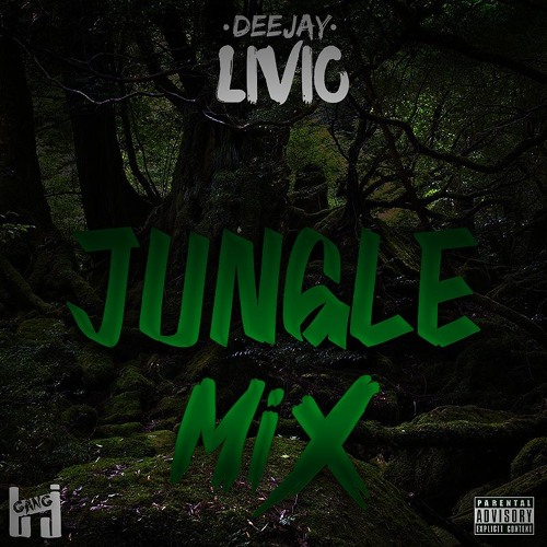 DJ LIVIO - Jungle MixX