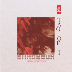OM 10 LP - Iona Fortune - Tao Of I (album sampler)