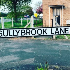 Gullybrook Lane (terrorhythm) 2006/2007 ?