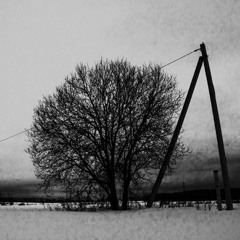 Disintegration - Field of the Fallen