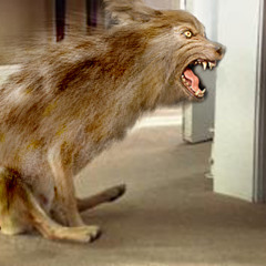 EA II Soundwalk TEENWOLF