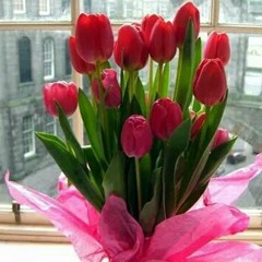 Tum Hi Ho ...