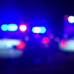 Pause, Drink [Max's Revelation]