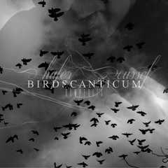 Dhafer Youssef - Birds Canticum (RUMP Edits)