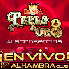 13. - Perro De Cadena