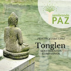 Sintonización Amor Universal Y Tonglen