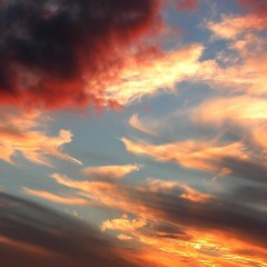 Songs For Summer Nights