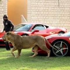 My Life (Prod. CashMoneyAp)