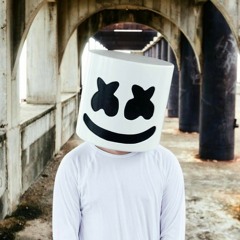 Me and I (MARSHMELLO STYLE) #mellogang