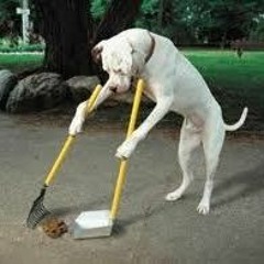 Tandem - Clean It Up