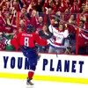 Ovi