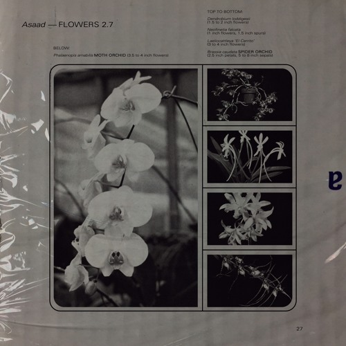 Scab (Prod. DP Beats)