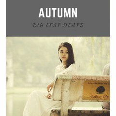 Autumn_Unofficial Beat (Chill/jazz)