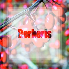 BRS 151 Modular2 - Die Sonne (Original Mix) preview