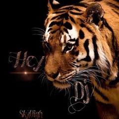 Hey Dj [ SkyHigh Rmx ]