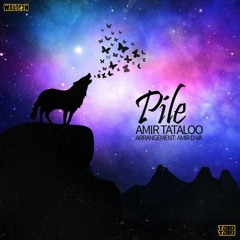 Amir TaTaloo - Pile