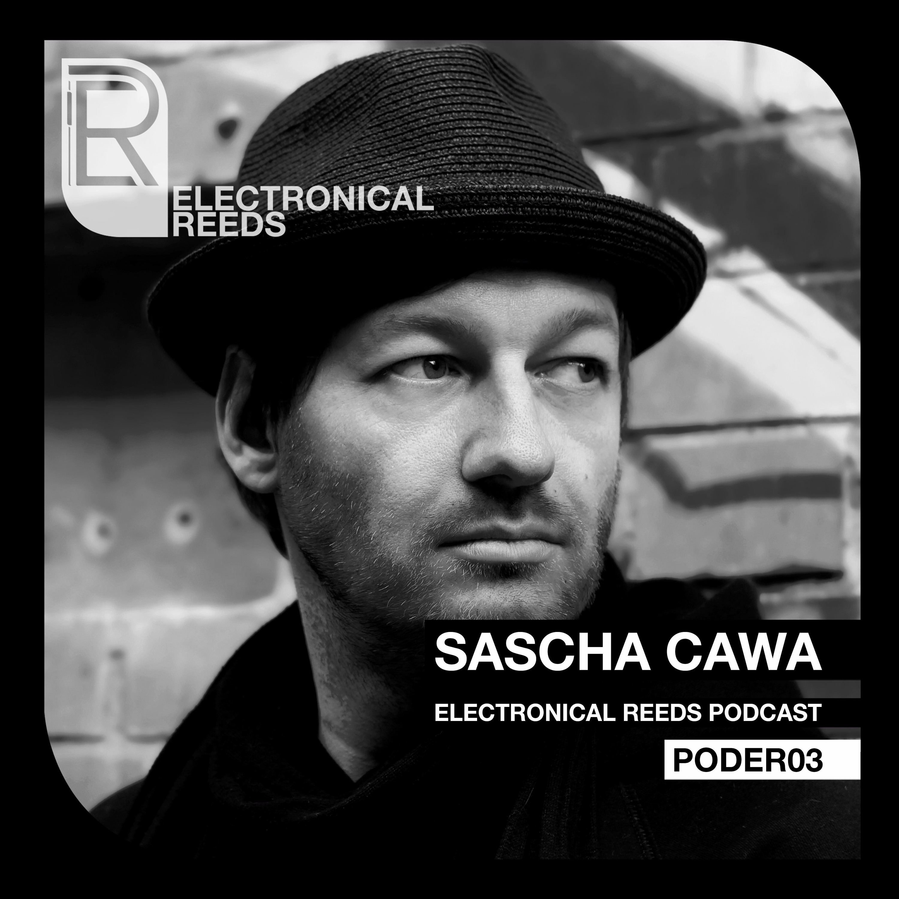 Electronical Reeds
