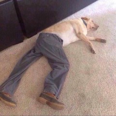 boring music to make you fall asleep