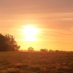 Silence At Sunset