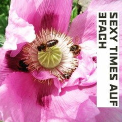 3FACH Sexy Times: Folge 31 - Blowjob