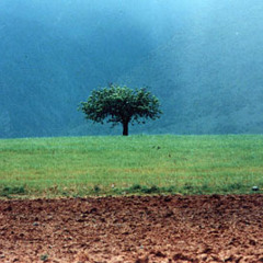 عباس کیارستمی