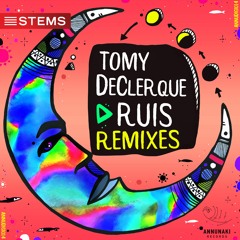 Tomy Declerque - Ruis (Daniel Greenx & Ai.Ron Remix)