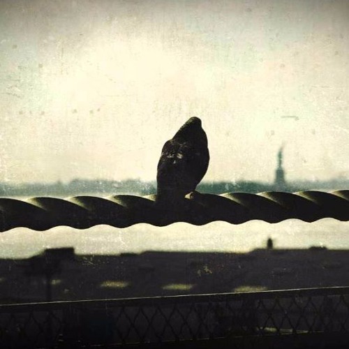 Essáy feat. Ida Dillan - Find You ( Syncode Remix)