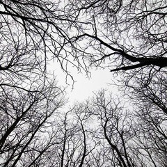 Green Velvet X Detlef Mix (By Luke Moore)