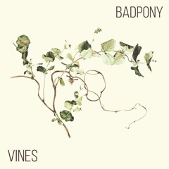 PREMIERE: Misty - Desouk [Bad Pony Records]