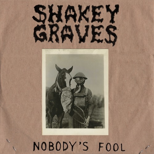 Stream Zaloysius Listen to Shakey Graves Setlist playlist online for