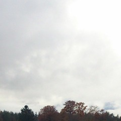 জীবন যখন শুকায়ে যায় (রবীন্দ্রসংগীত) / jeebon jokhon shukaye jay (rabindrasangeet)