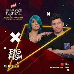 BIGFISH (Live) Life in color 2017