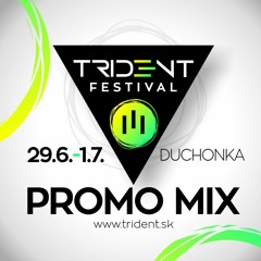 Cockroach - Trident Festival 2017 Promo Mix