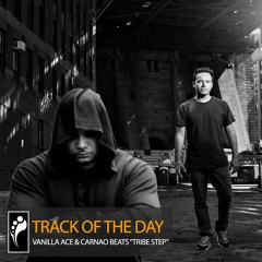 Track of the Day: Vanilla Ace & Carnao Beats “Tribe Step”