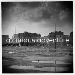 A curious adventure