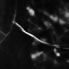 owcltd010 | Undveld - The Reach