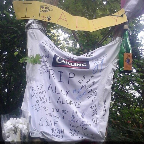 RIP ally bro x